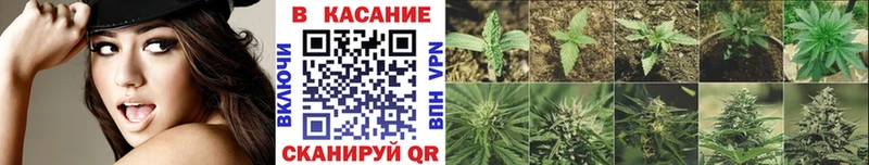 Виды наркотиков купить Устюжна Бошки Шишки  Меф мяу мяу  Псилоцибиновые грибы  ГАШИШ  АМФ 