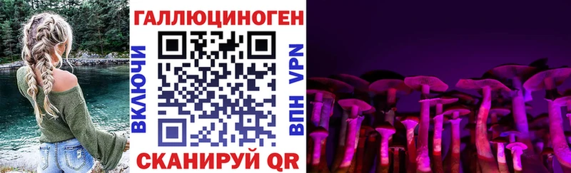 Псилоцибиновые грибы MAGIC MUSHROOMS  купить закладку  Устюжна 